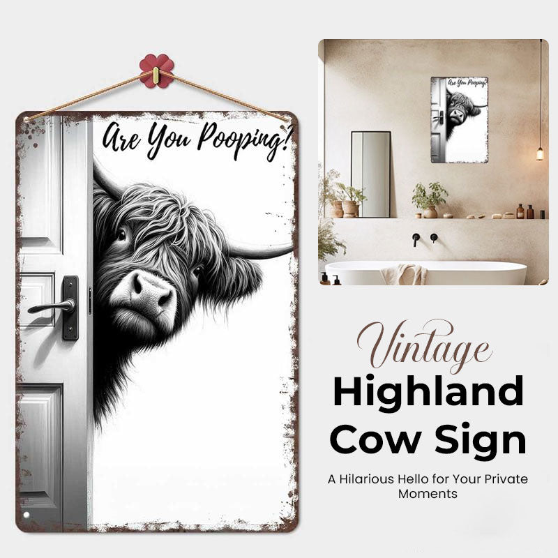🐄 Der freche Besucher: Vintage-Schild mit einer schottischen Hochlandkuh