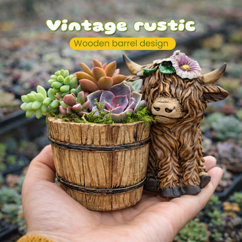 🐮🌿 BloomBuddy Hochlandrind-Sukkulenten-Pflanztopf