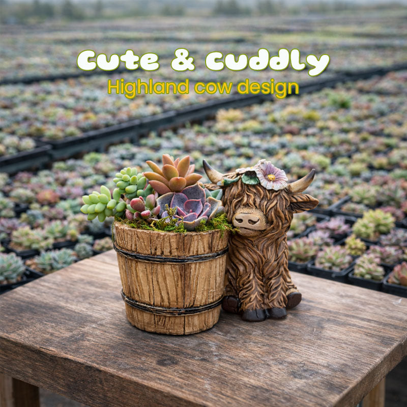 🐮🌿 BloomBuddy Hochlandrind-Sukkulenten-Pflanztopf