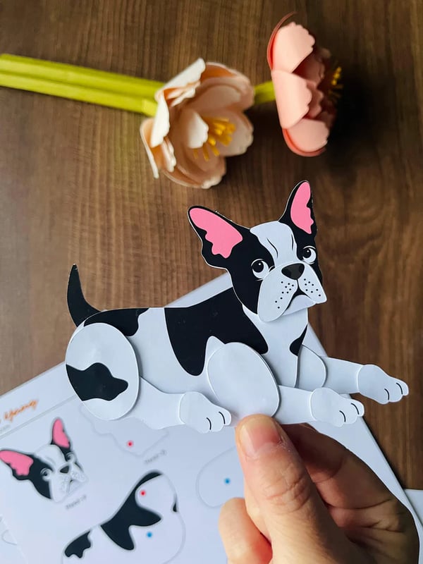 🎁Buy More Save More🎨Cat Paper Doll✂️😺